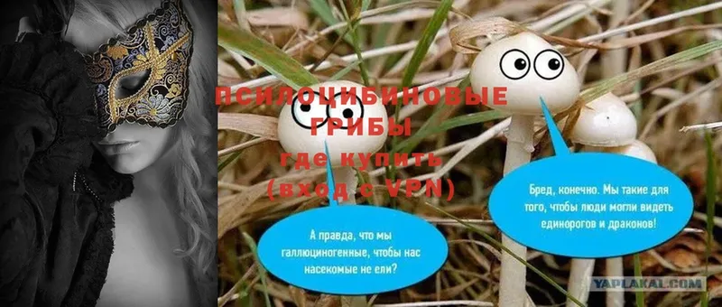 Галлюциногенные грибы MAGIC MUSHROOMS  darknet клад  Вышний Волочёк  даркнет сайт 